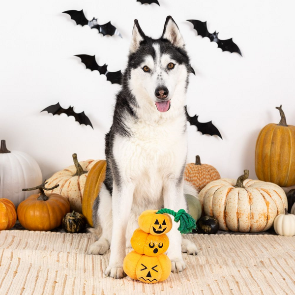 Stack O' Lantern Plush Dog Toy – Fuzzy Creek Pet Supplies