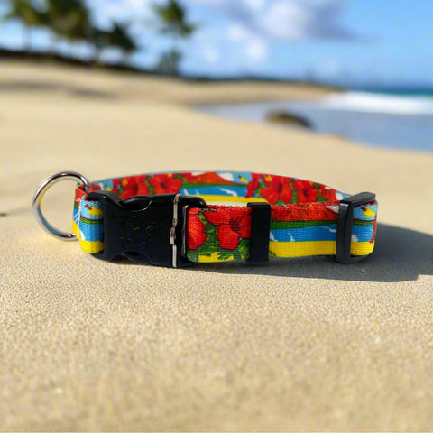Hawaiian Beach Dog Collar