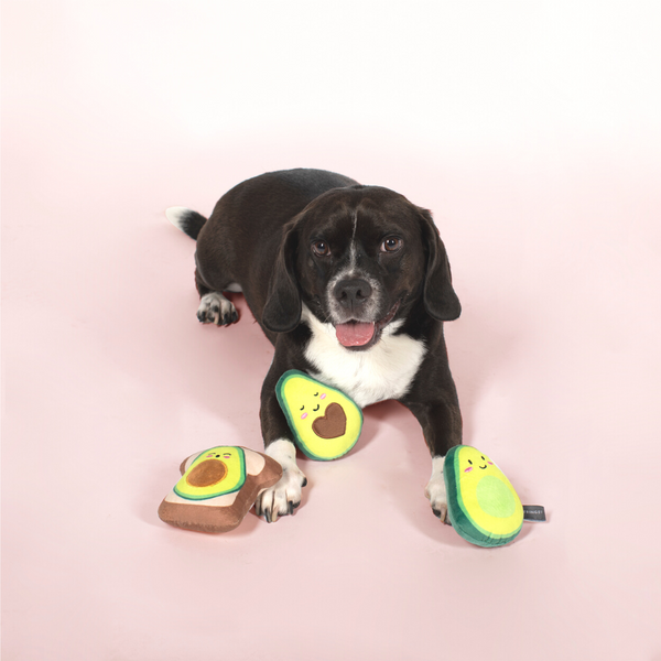 Dog toy avocado hot sale