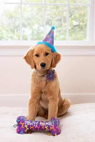 Party Hat - Balloon Doggy