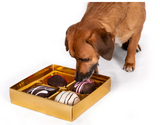 Dog with Dogiva Chocolate Dog Toys