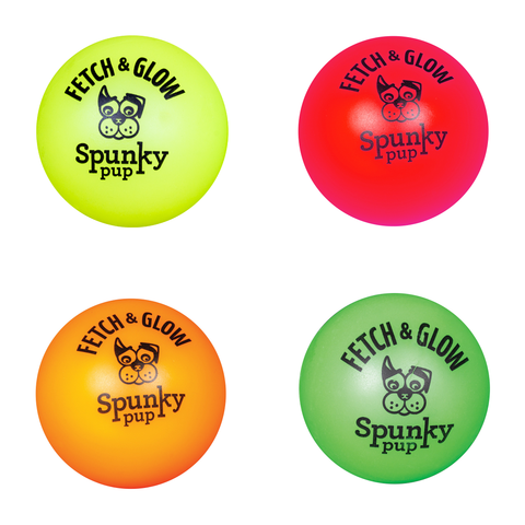Fetch and Glow Ball Dog Toy