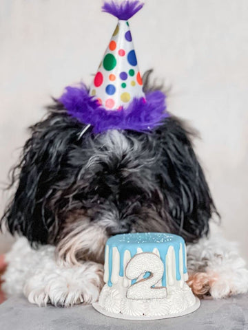 Party Hat - Happy Barkday on dog