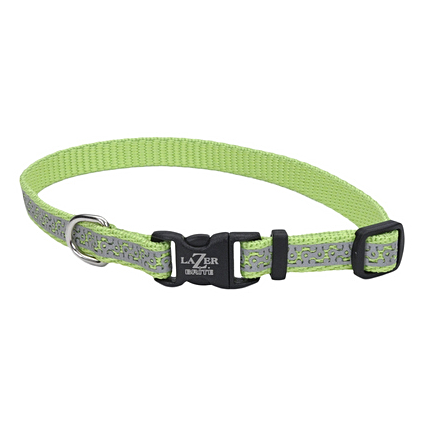Lazer brite online dog collar