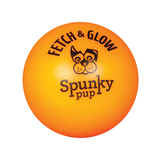 Fetch and Glow Ball Dog Toy - Orange