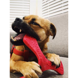 Dog with Textured Propeller Rubber Dog Toy