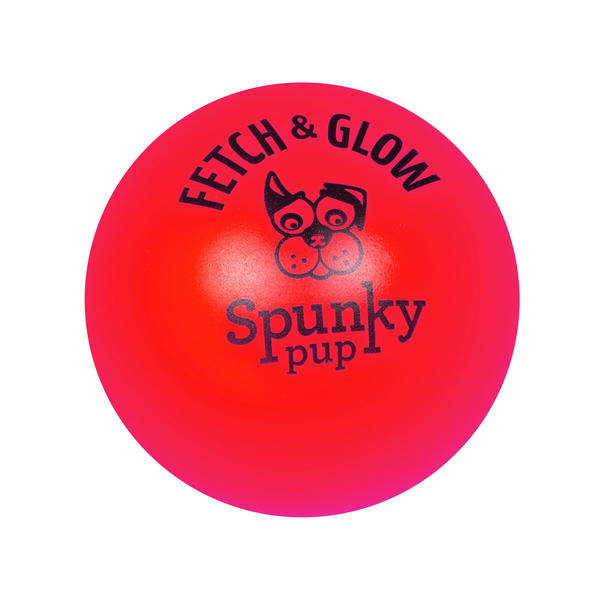 Fetch and Glow Ball Dog Toy - Red