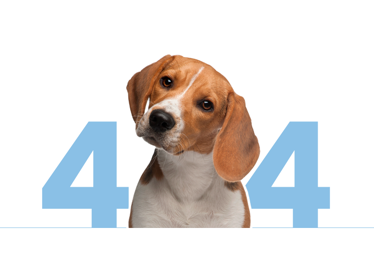 Fuzzy Creek Pet Supplies