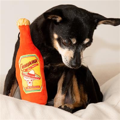 Dog with small Chihuahua Hot Sauce Dog Toy