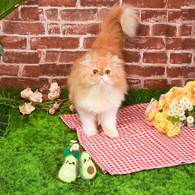 cat with Avocado Crazy Plush Cat Toy 2pk