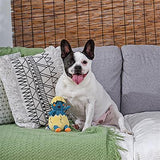 dog with Baby Dinosaur Egg Plush Dog Toy