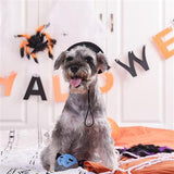 dog with Howloween Vampire Ball Dog Toy