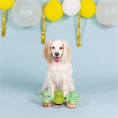 dog with Mini Cactus Plush Dog Toy 3pk