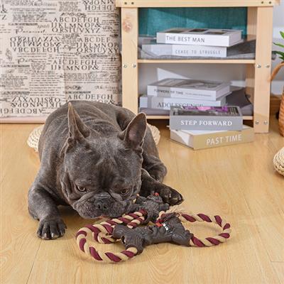 dog with Rope Monster Rubber Dog Toy