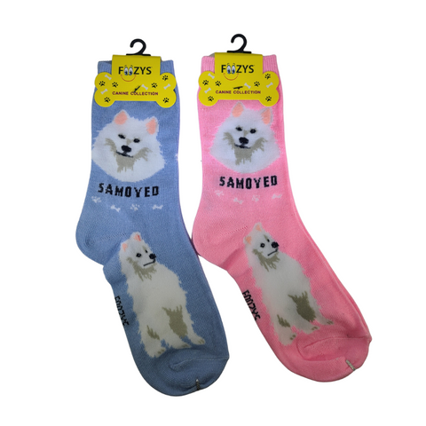 Samoyed Socks