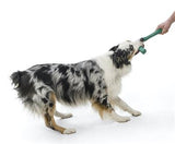 Dog with Snorkl Seaflex Rubber Dog Toy