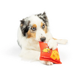Dog with Sneez-It the Original Plush Snacker Dog Toy
