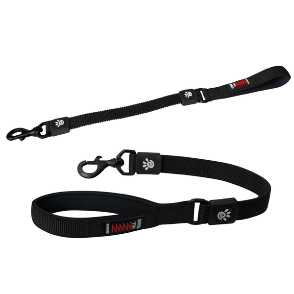 22" Shock Absorbing Bungee Leash