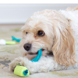 Lil Barks Nubby Rope Stick Dog Toy and Dog