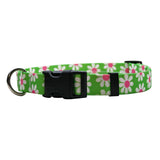 Green Daisy Nylon Dog Collar