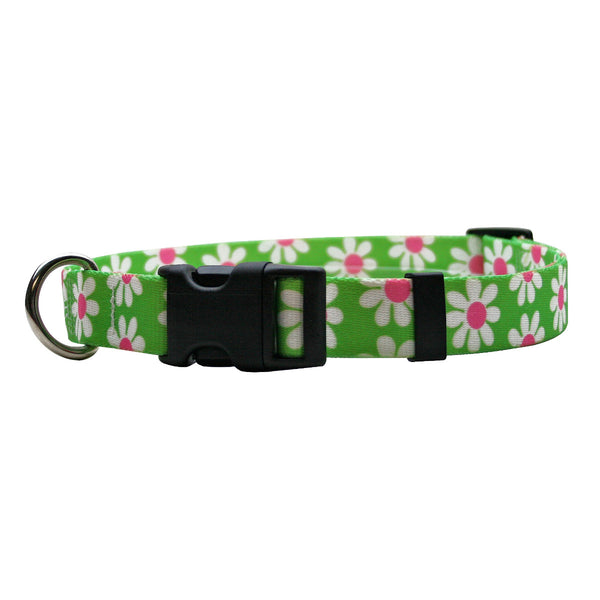 Green Daisy Nylon Dog Collar