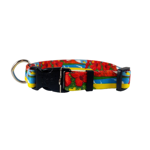 Hawaiian Beach Dog Collar