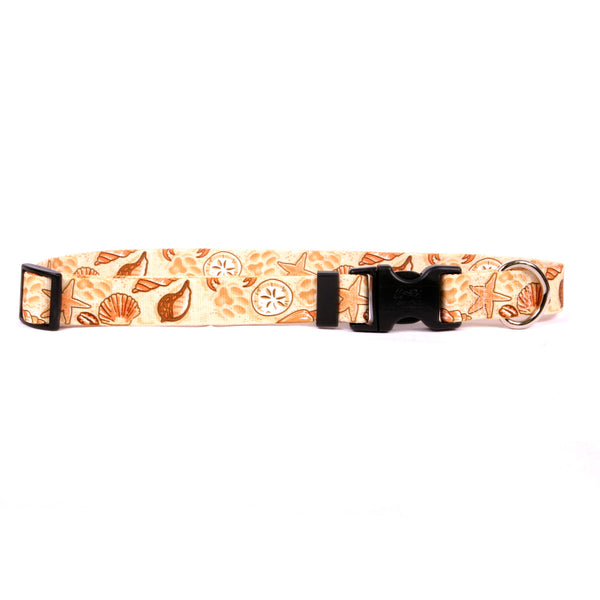 Beach, Shells and Paws Nylon Dog Collar