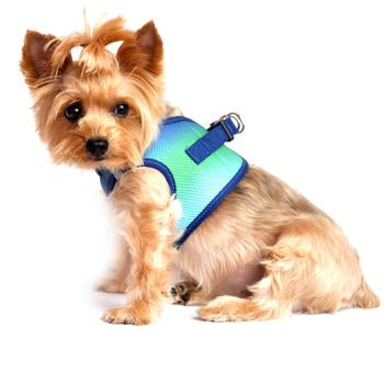 American River Dog Harness - Northern Lights