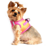 American River Dog Harness - Raspberry Pink & Orange