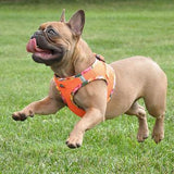 American River Dog Harness - Hawaiian Orange