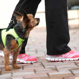American River Dog Harness - Irridescent Green