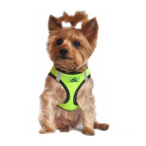 American River Dog Harness - Irridescent Green