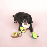 Dog with Avocado Toast 3pk Plush Dog Toy
