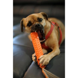 Dog with Bumper Junior Rubber Outdoor Dog Toy