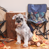 Dog with Campfire Pups Plush Dog Toy