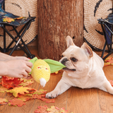 Dog with Camping Corn on the Cob Plush Dog Toy