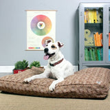 Daysleeper Refillable Dog Bed with dog