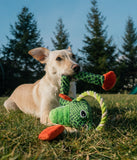 Dog with Thunda Tugga Leggy