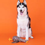 Dog with Duck Duck Boom Plush Dog Toy