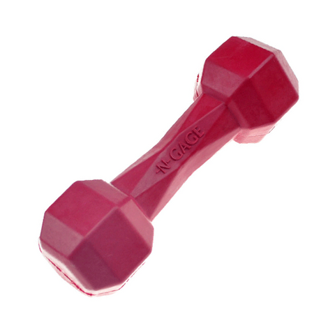 Dumbbell Junior Rubber Dog Toy