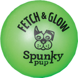 Fetch and Glow Ball Dog Toy - Green