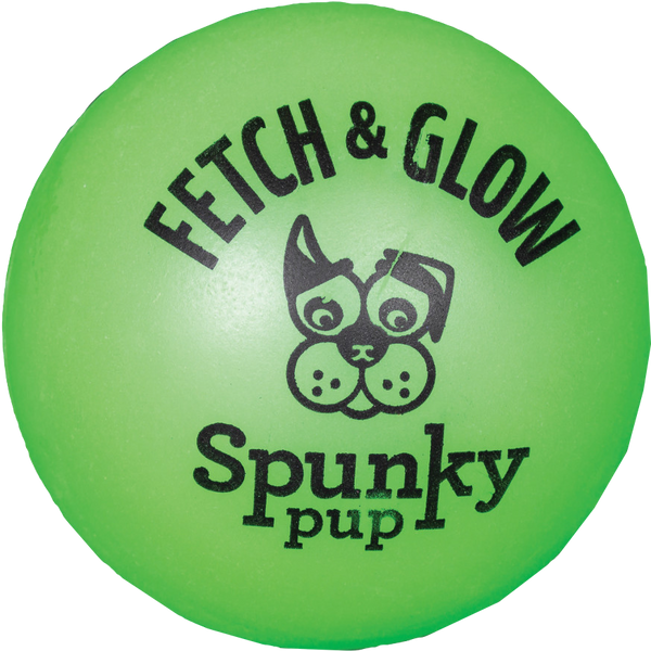 Fetch and Glow Ball Dog Toy - Green