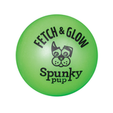 Fetch and Glow Ball Dog Toy - Green