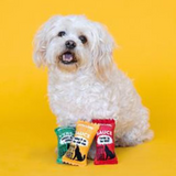 Dog with Howling Hot Sauce 3pk Dog Toy