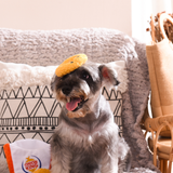 Dog with Onion Kings Trio Plush Dog Toy