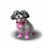 Dog wearing Peace and Love Triangle Pink Dog Bandana