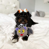 Dog with Pricklet Plush Bat Ball Dog Toy