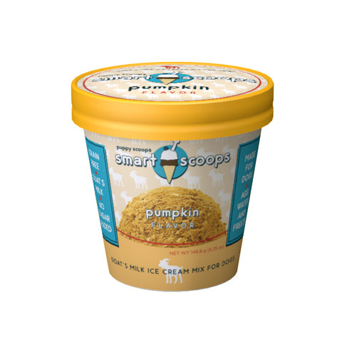 Smart Scoops Ice Cream - Pumpkin