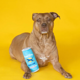 Dog with Run Dog Energy Drink Plush Dog Toy