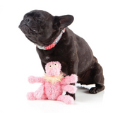 Scratchette the Flea Plush Dog Toy